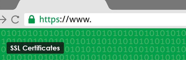 Web design business briefing clients about the importance of SSL certificates.