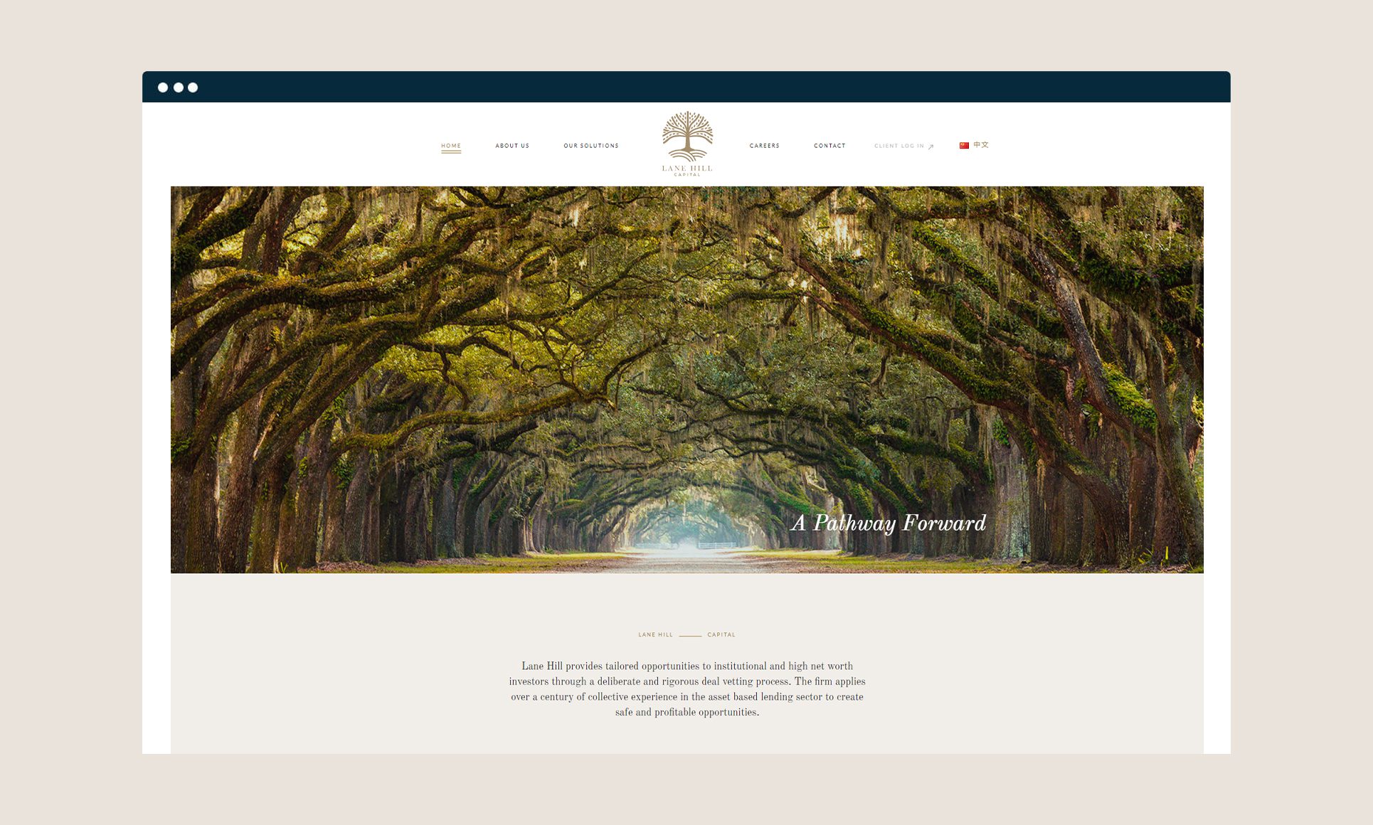 Nature-inspired website design showcasing an archway of lush green trees.