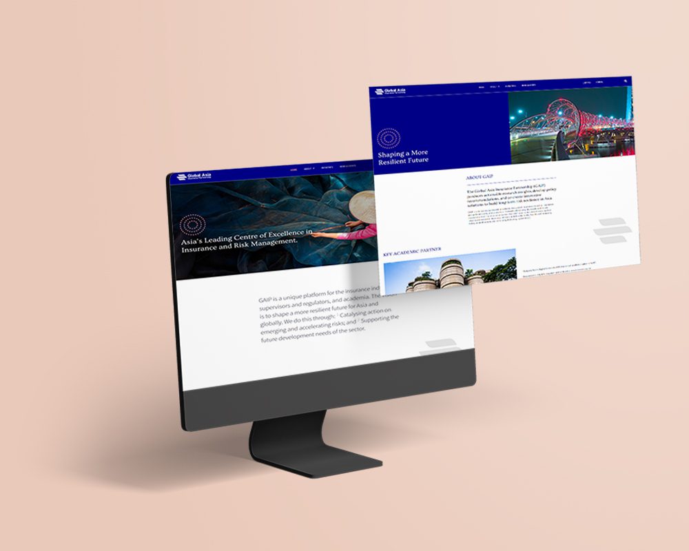 GAIP website design