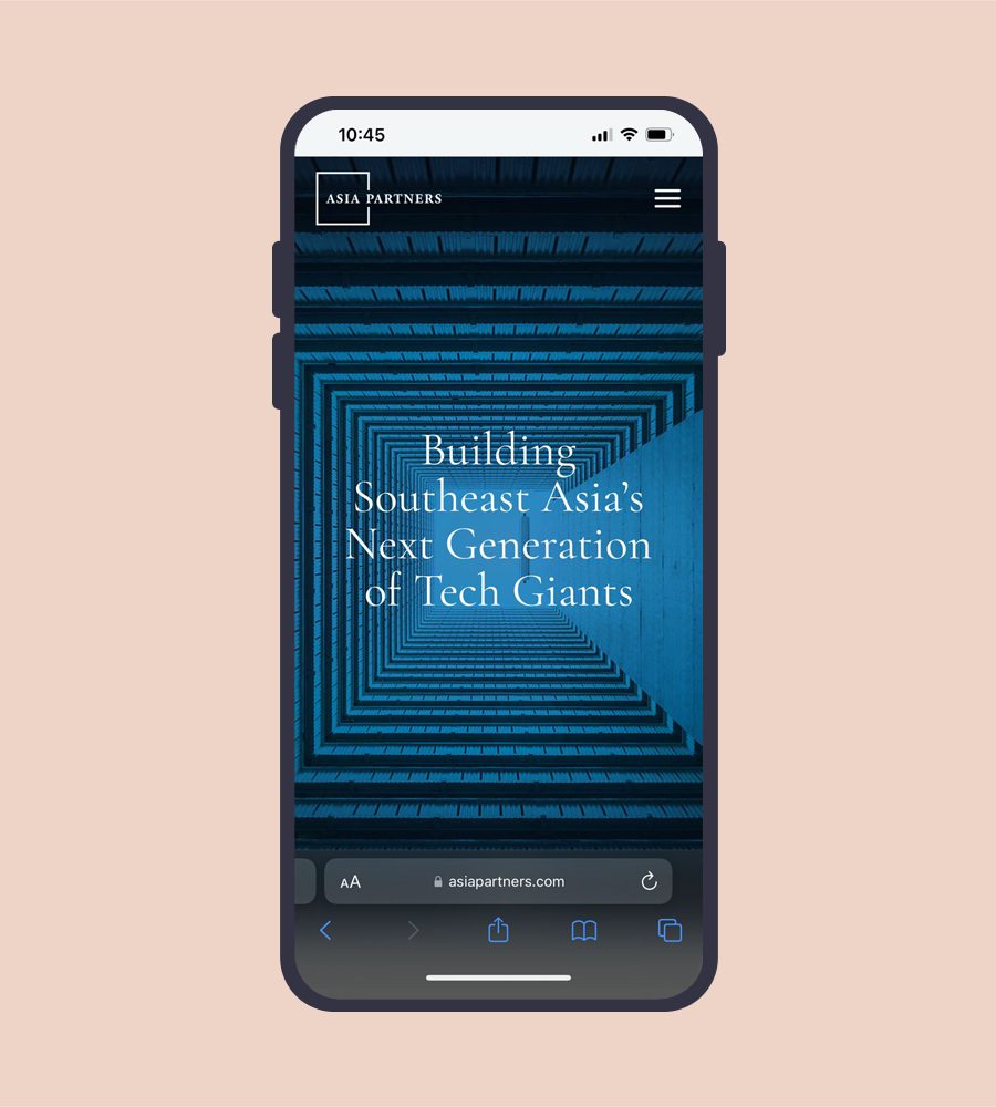 Asia Partners website mobile screenshot