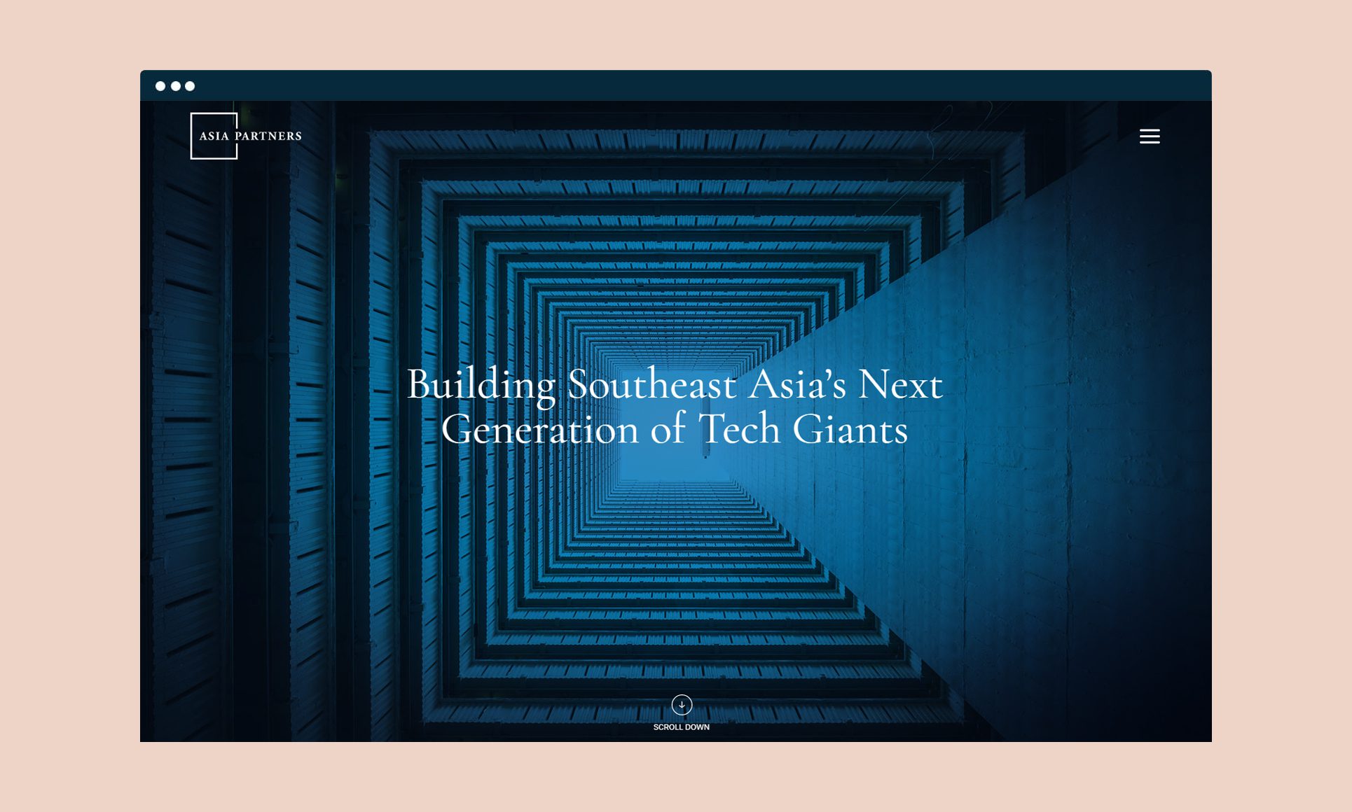 Asia Partners website design