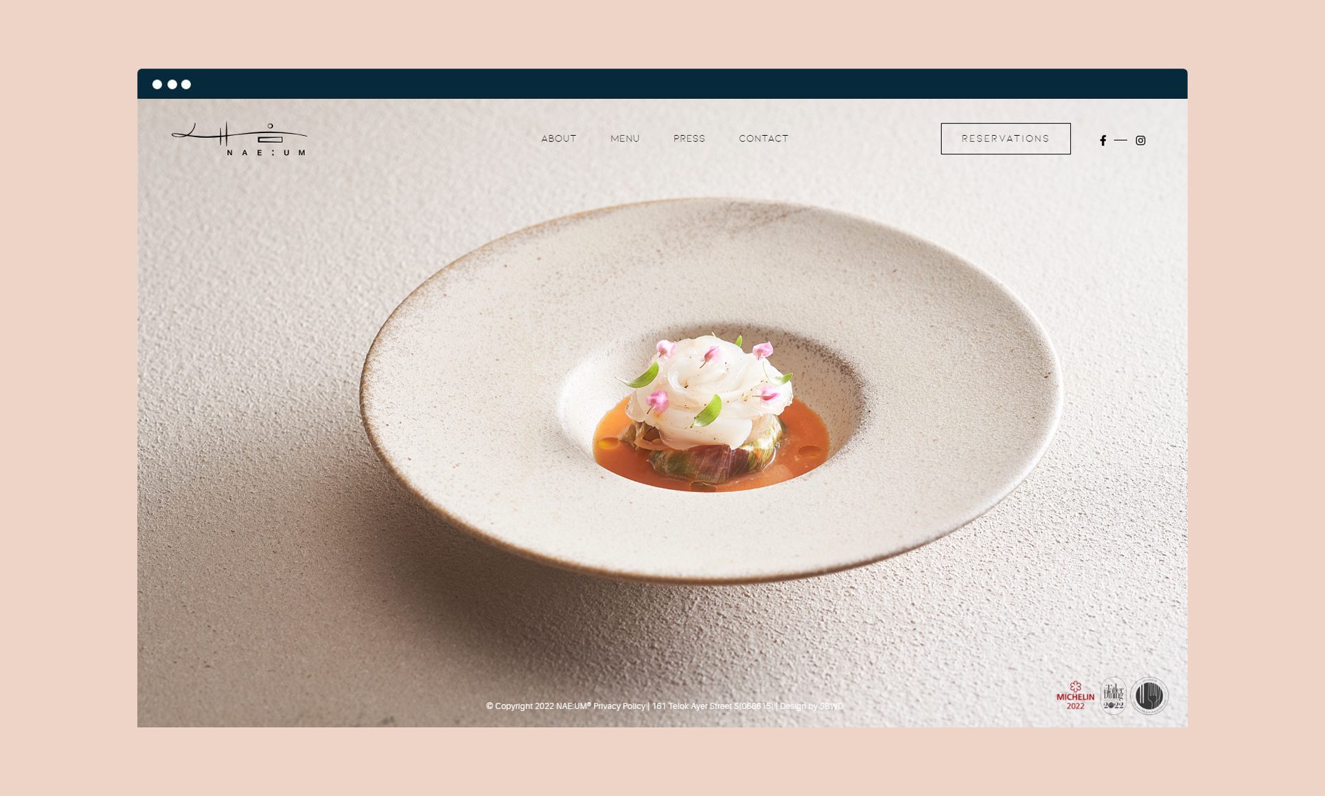 sbwd-portfolio-naeum