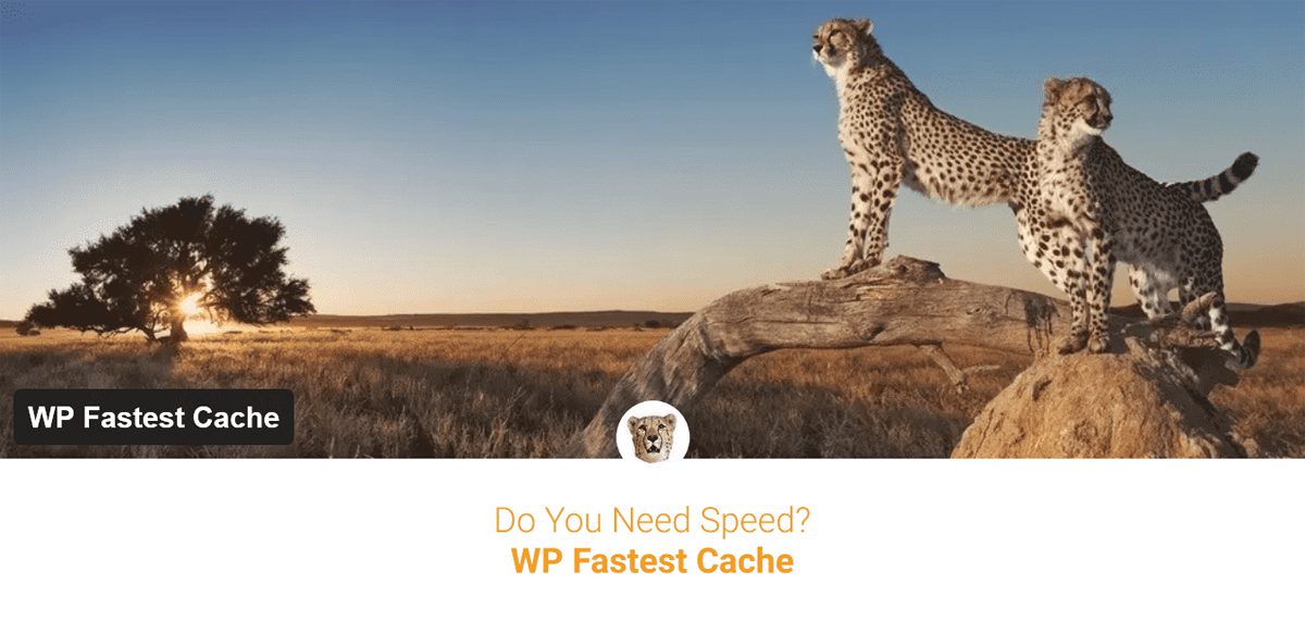 WP Fastest Cache WordPress plugin